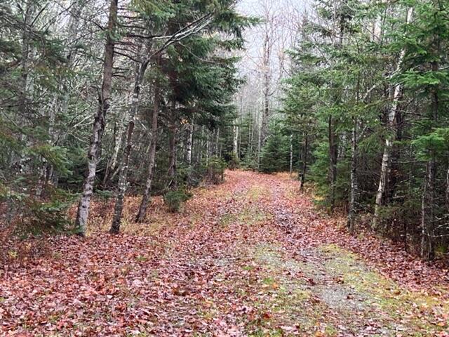 72 Alder Road Orland, ME 04472 - Photo 4 of 14 IMG_5989