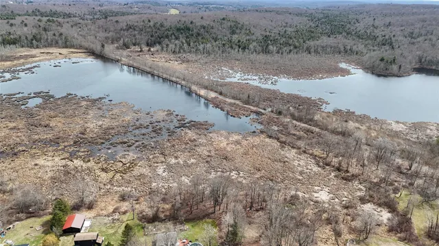 a view of a lake with beach and trees