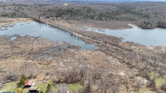 a view of a lake with beach and trees