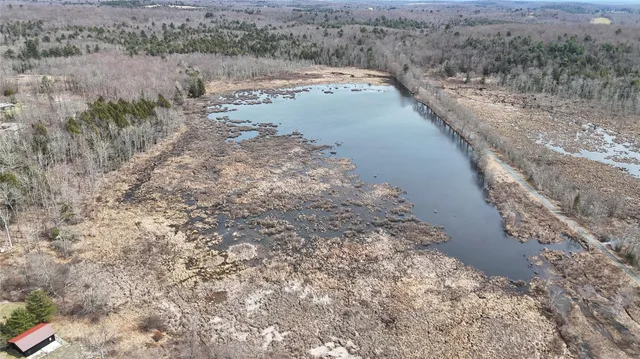 a view of a dry field with trees in the background