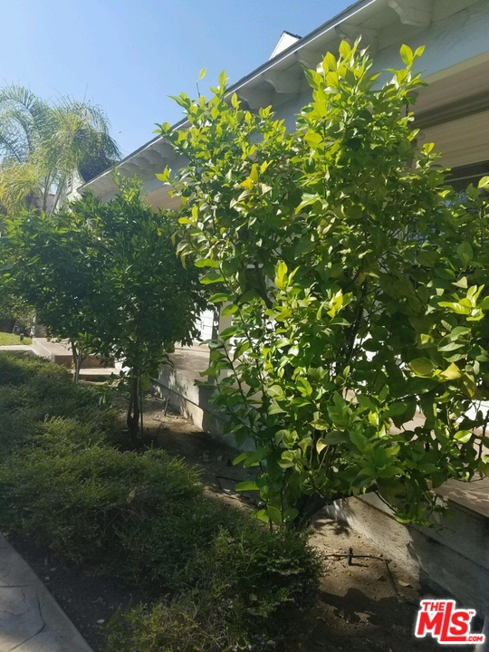 1901 West Kenneth Road Glendale, CA 91201 - Photo 6 of 12 Gallery Image 6