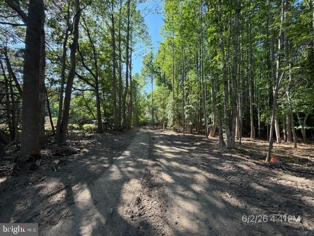 Lot 1 Benson Road Lincoln, DE 19960 - Photo 12 of 17 30' easement-gorgeous property