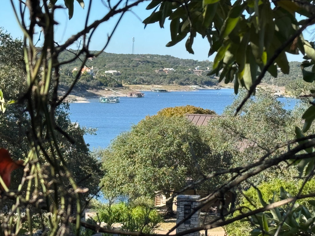 a view of yard with green space