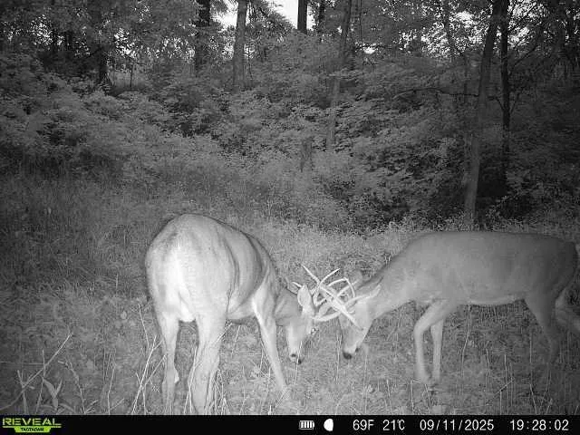 $399,900 | 40-acre Lot 40-acre, Hillpoint, WI 53937