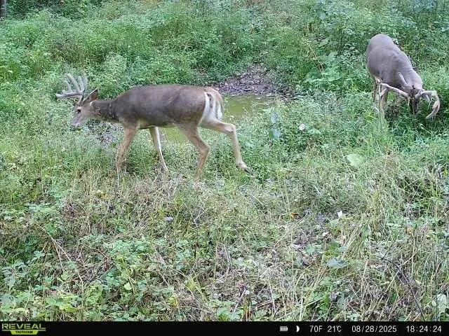 $399,900 | 40-acre Lot 40-acre, Hillpoint, WI 53937