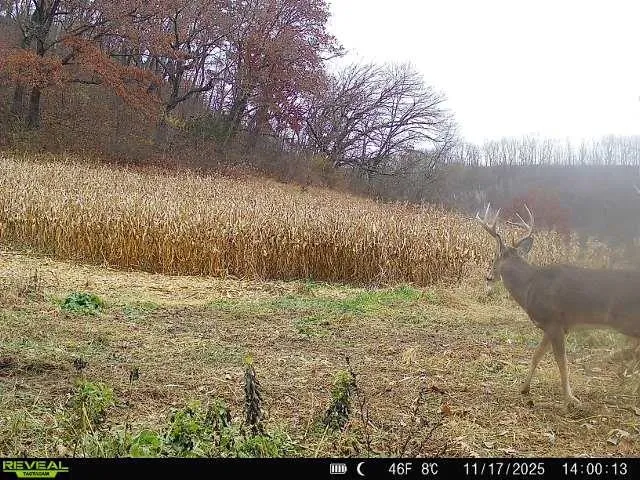 $399,900 | 40-acre Lot 40-acre, Hillpoint, WI 53937