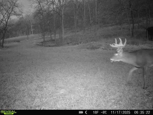 $399,900 | 40-acre Lot 40-acre, Hillpoint, WI 53937