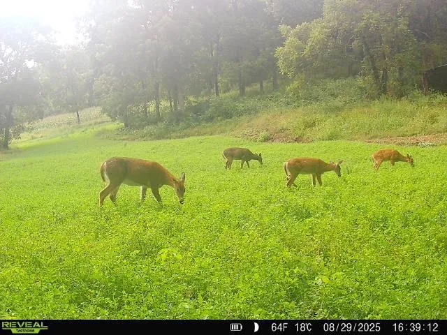 $399,900 | 40-acre Lot 40-acre, Hillpoint, WI 53937