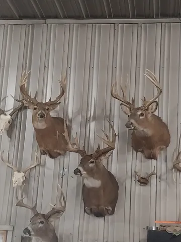 $399,900 | 40-acre Lot 40-acre, Hillpoint, WI 53937