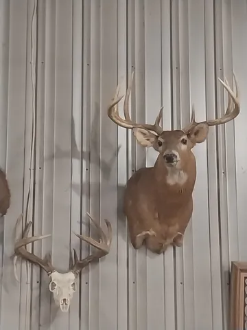 $399,900 | 40-acre Lot 40-acre, Hillpoint, WI 53937