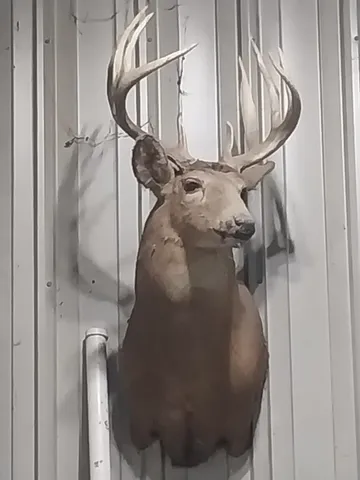 $399,900 | 40-acre Lot 40-acre, Hillpoint, WI 53937