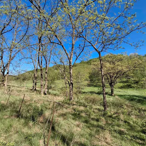 $399,900 | 40-acre Lot 40-acre, Hillpoint, WI 53937