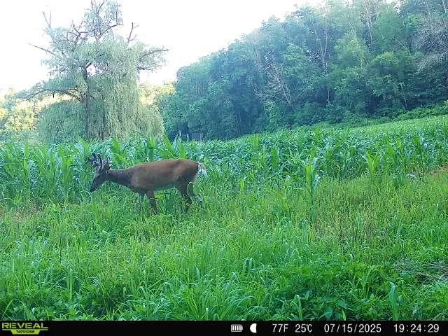 $399,900 | 40-acre Lot 40-acre, Hillpoint, WI 53937