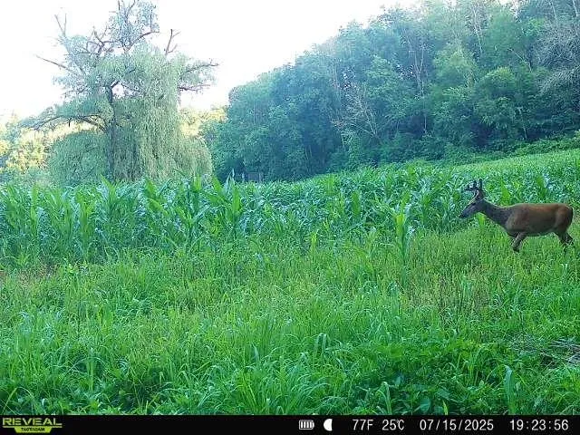 $399,900 | 40-acre Lot 40-acre, Hillpoint, WI 53937