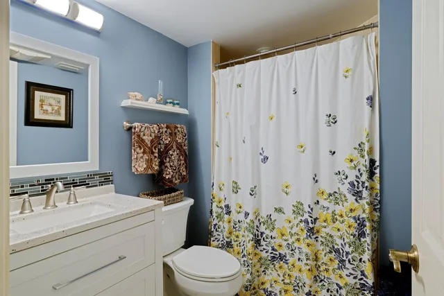 a view of a park with large trees