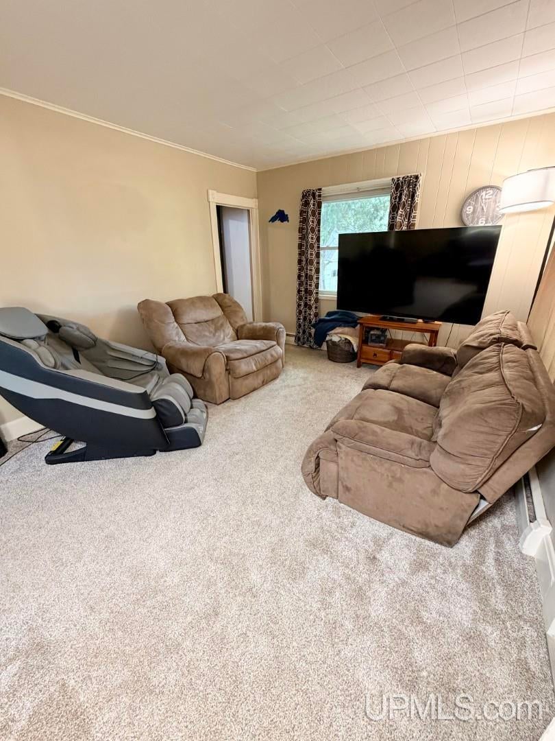 590 Jasper Street Ishpeming, MI 49849 - Photo 3 of 32 Gallery Image 3