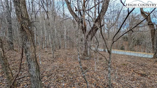 a view of a yard with trees