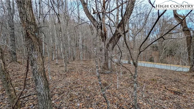 $34,900 | Lot 5 Grande Oaks Drive, Todd, NC 28684