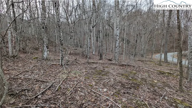 $34,900 | Lot 5 Grande Oaks Drive, Todd, NC 28684