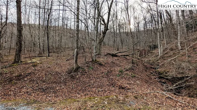 $34,900 | Lot 5 Grande Oaks Drive, Todd, NC 28684