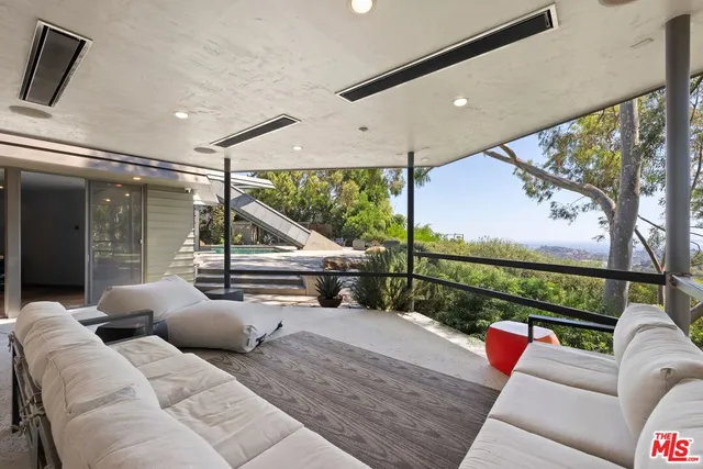 a close up of a plant in a garden