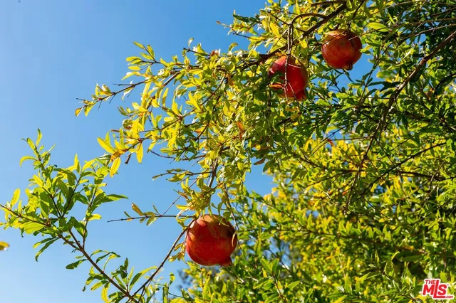 a view of a building with furniture and floor to ceiling windows