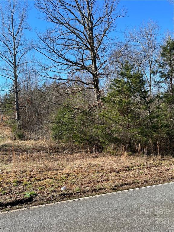 Tbd Tbd Broad River Rutherfordton, NC 28139 - Photo 2 of 7 a backyard of a house with lots of green space