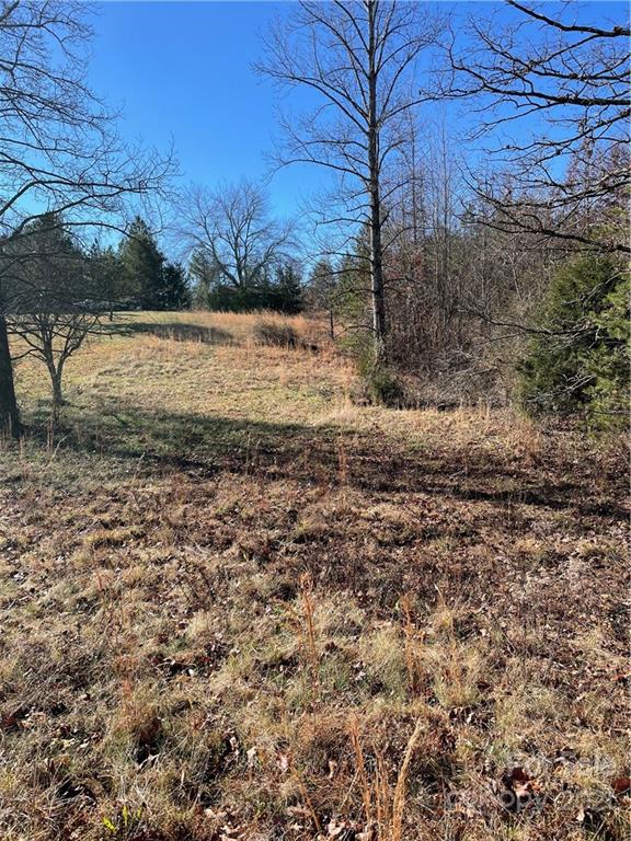 Tbd Tbd Broad River Rutherfordton, NC 28139 - Photo 3 of 7 a view of dirt yard with a large tree