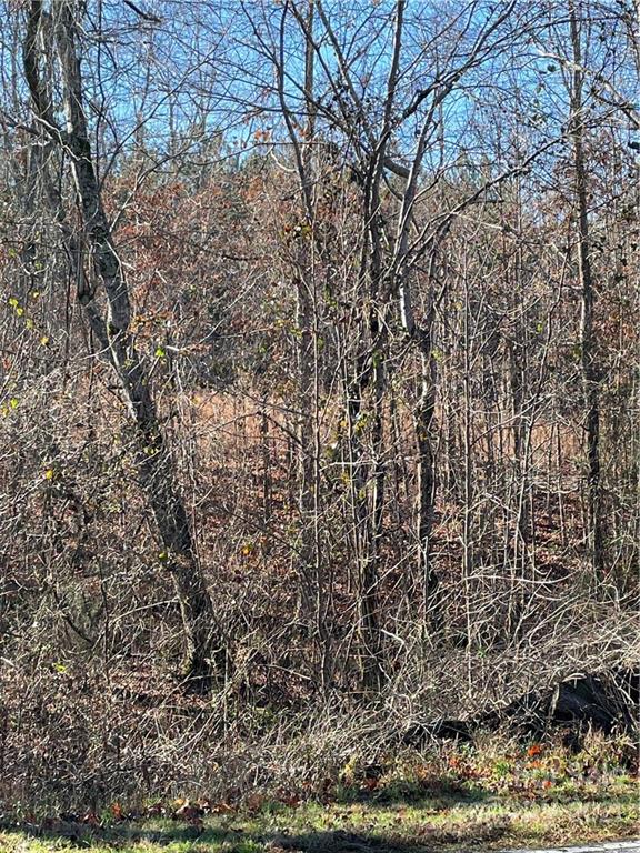 Tbd Tbd Broad River Rutherfordton, NC 28139 - Photo 5 of 7 a view of a yard