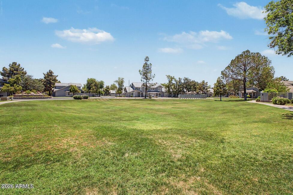 860 North McQueen Road, Unit 1135 Chandler, AZ 85225 - Photo 24 of 24 a view of a big yard with plants and large trees