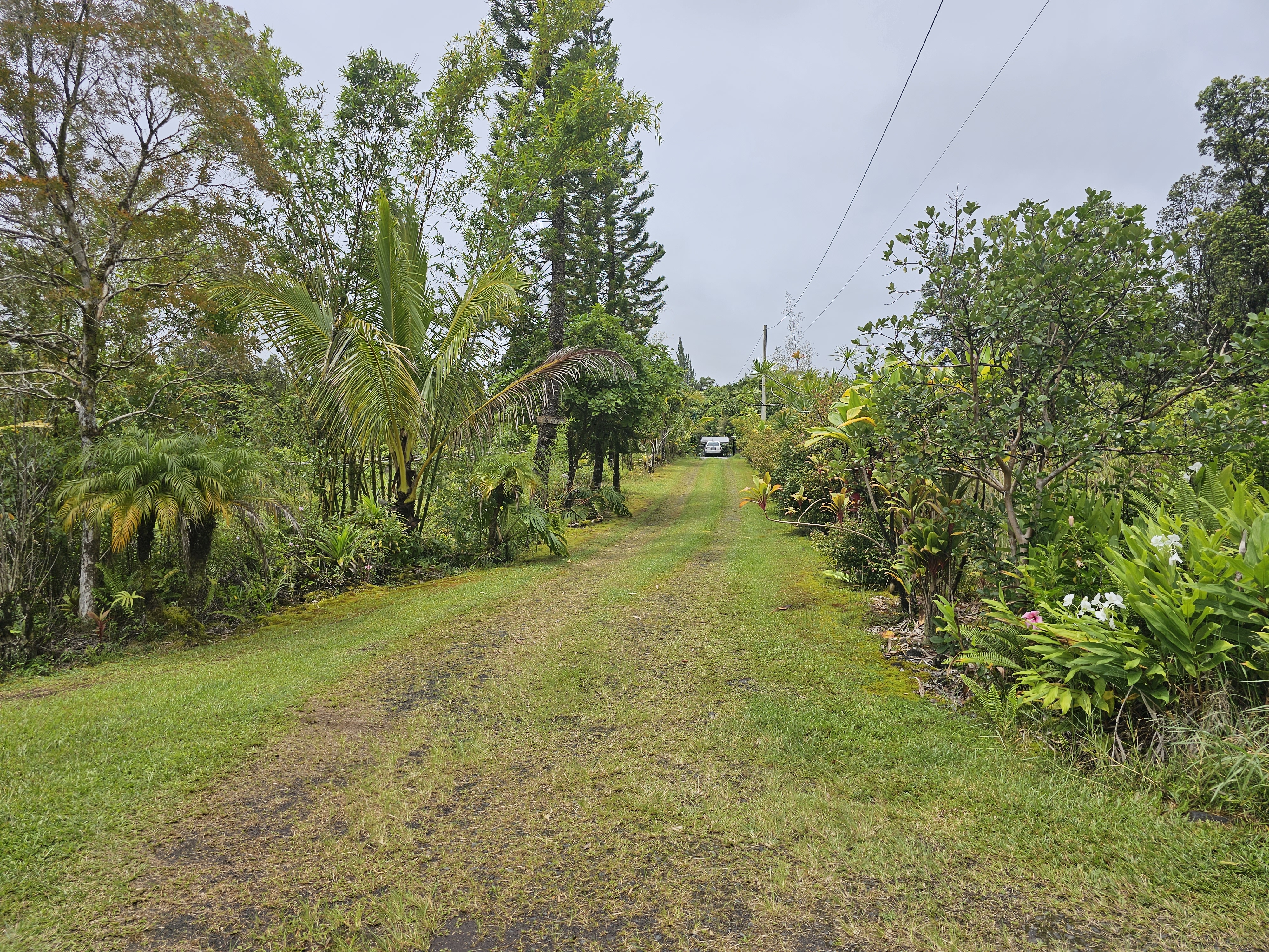 16-1754 Uhini Ana Road Pahoa, HI 96778 - Photo 19 of 21