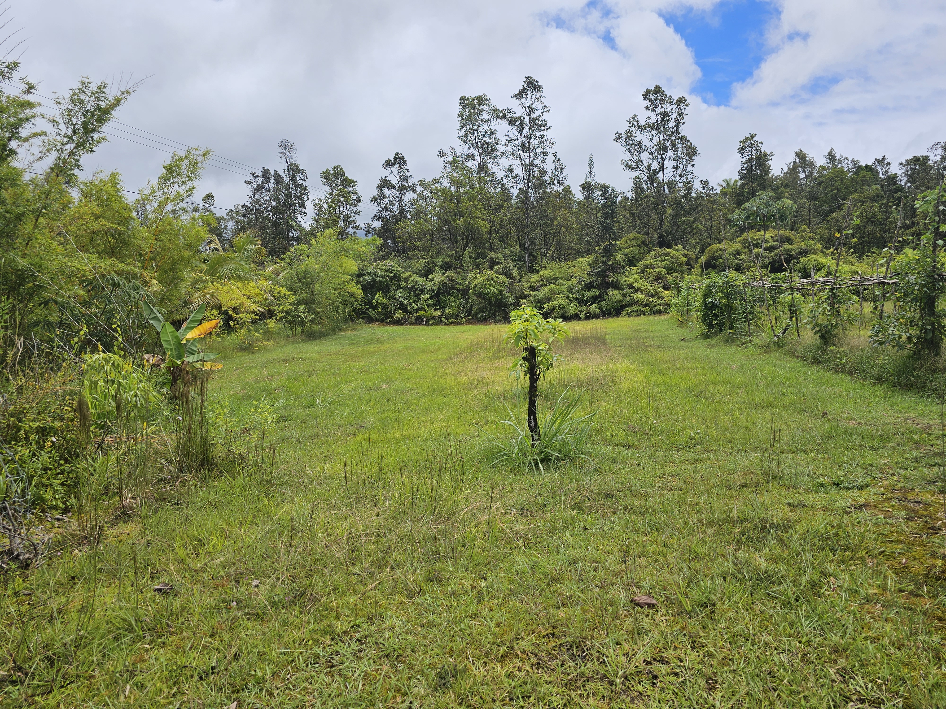 16-1754 Uhini Ana Road Pahoa, HI 96778 - Photo 20 of 21 a backyard of a house with lots of green space