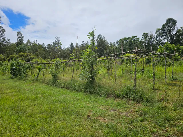 $450,000 | 16-1754 Uhini Ana Road, Pahoa, HI 96778