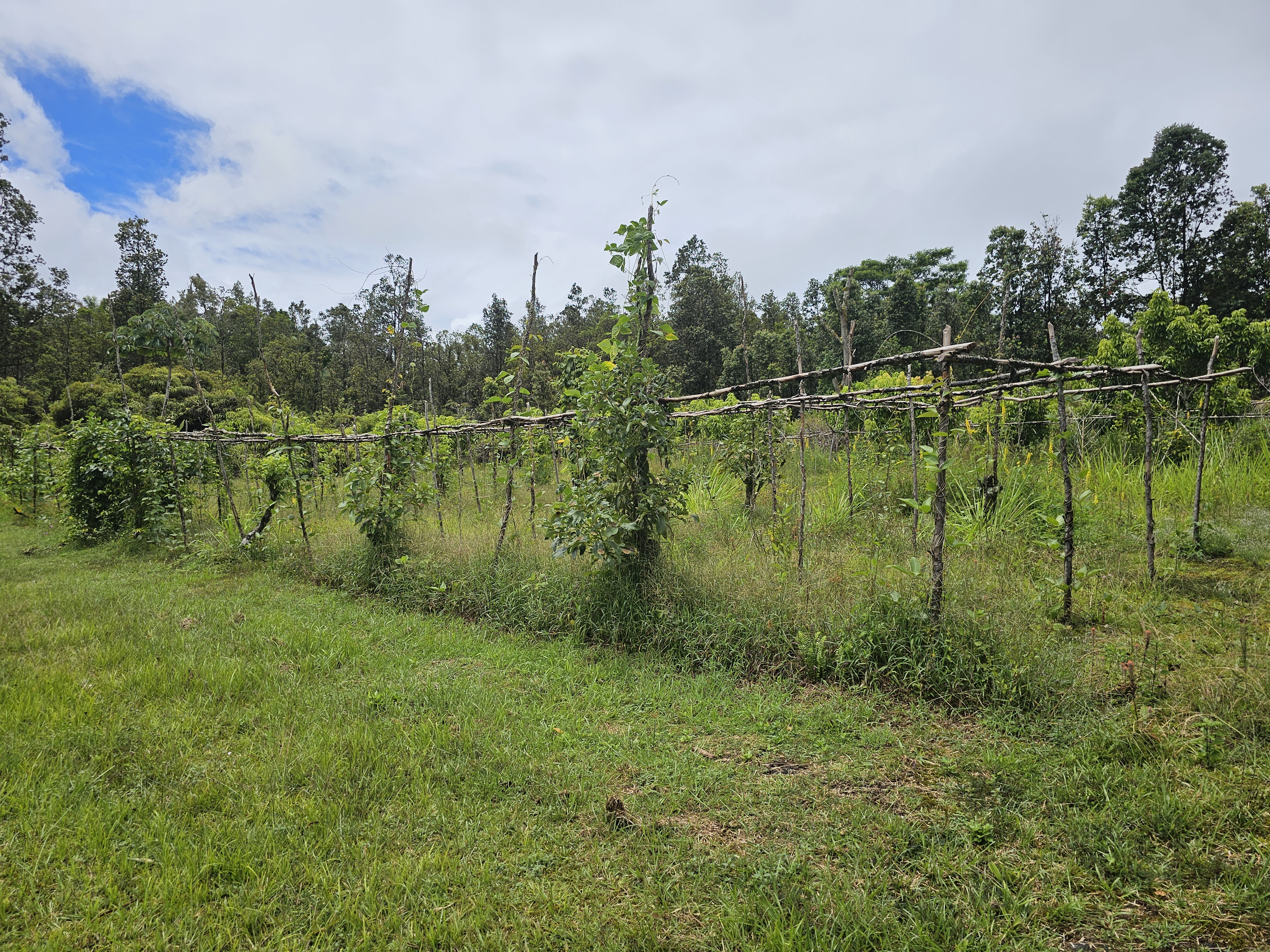 16-1754 Uhini Ana Road Pahoa, HI 96778 - Photo 21 of 21 a view of a lake with houses in the back
