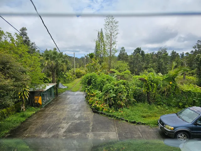 a view of yard with car parked