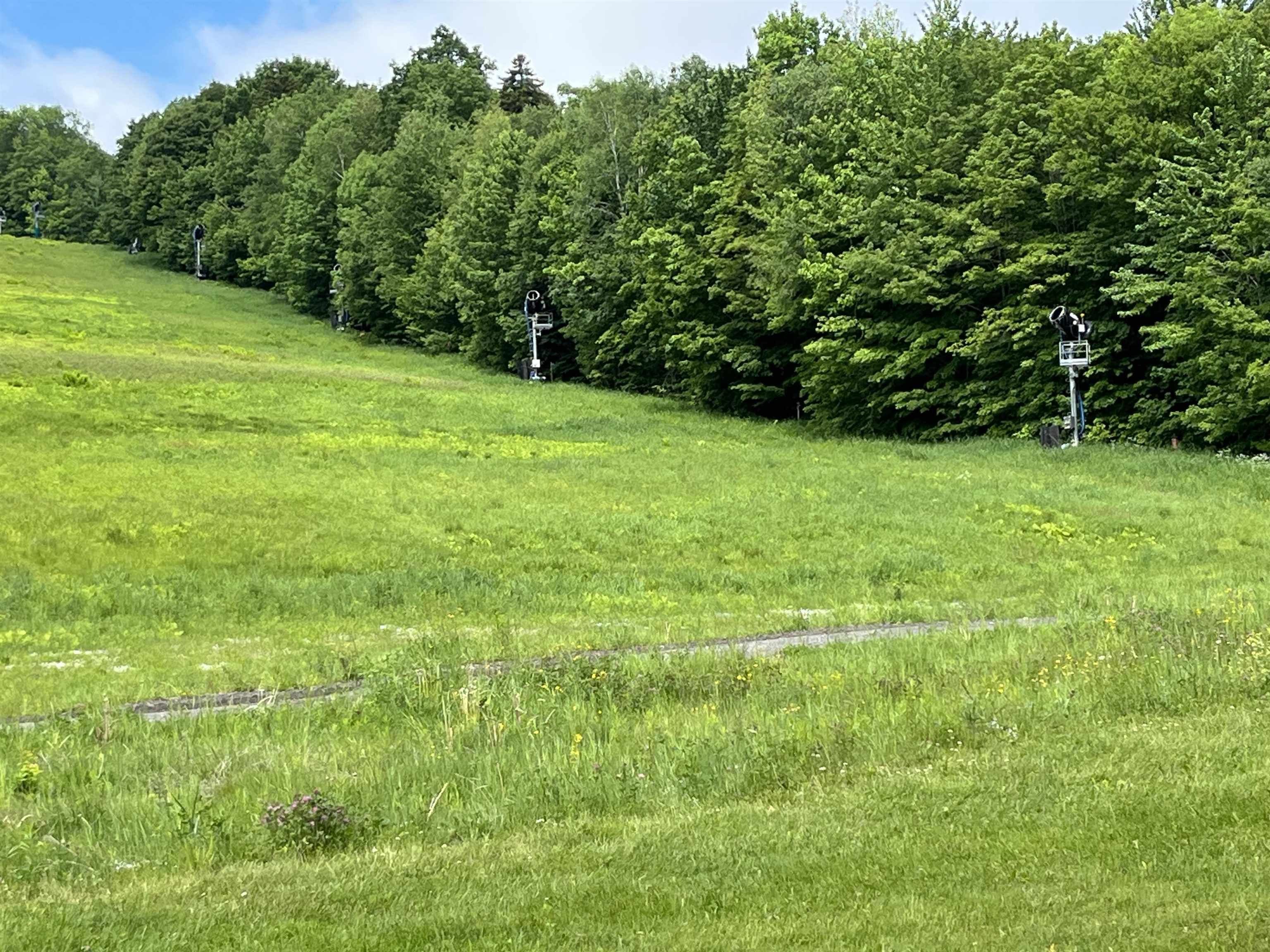 16 E Slopeside Road, Unit E West Dover, VT 05356 - Photo 22 of 22