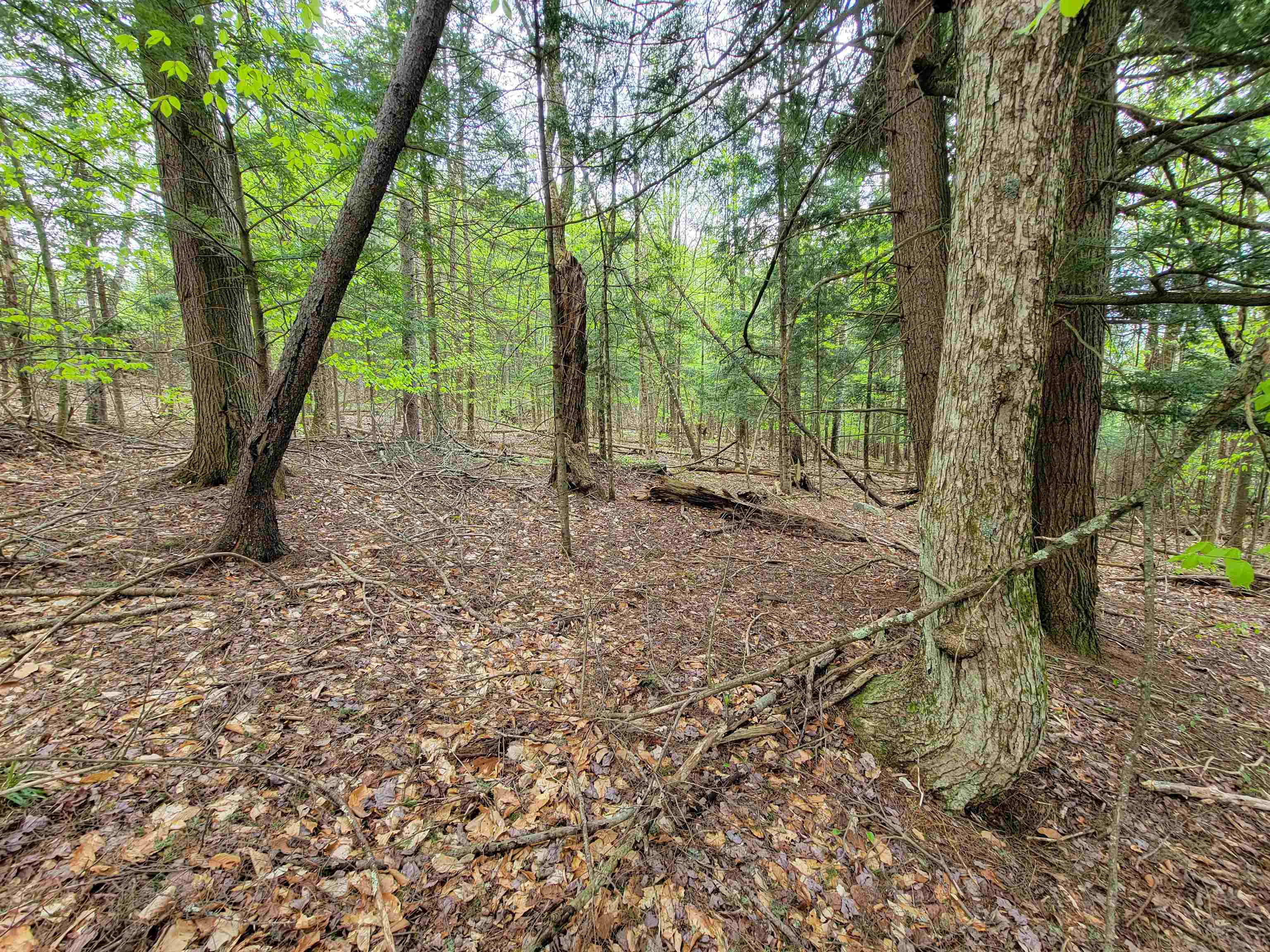 720 Brookview Lane Wolcott, VT 05680 - Photo 22 of 48