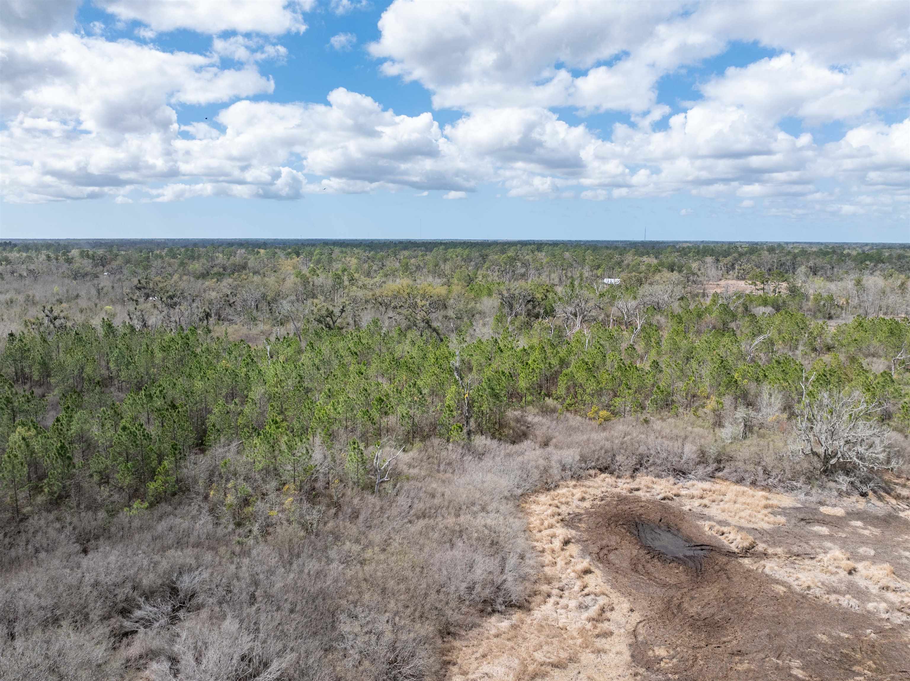 Vacant 40-acres Vacant 40-acres Ellison Frith Road Perry, FL 32347 - Photo 15 of 24