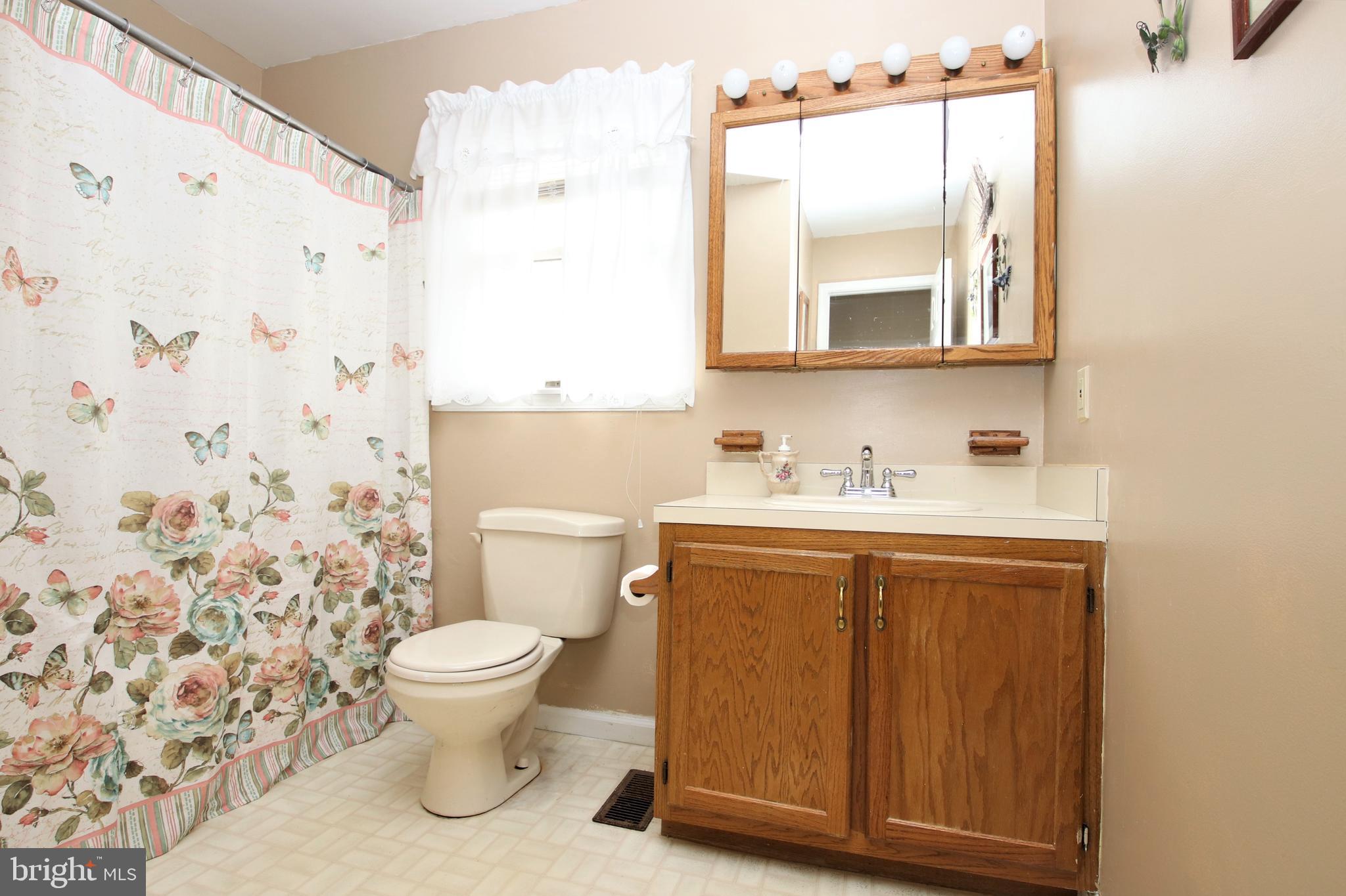 14103 Barnhart Road Clear Spring, MD 21722 - Photo 13 of 19 Hall Bathroom