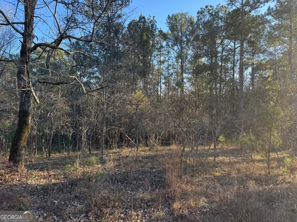 $50,000 | 1421 Pullman Lane, Greensboro, GA 30642