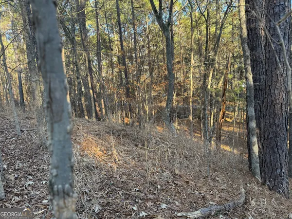 a view of yard with trees