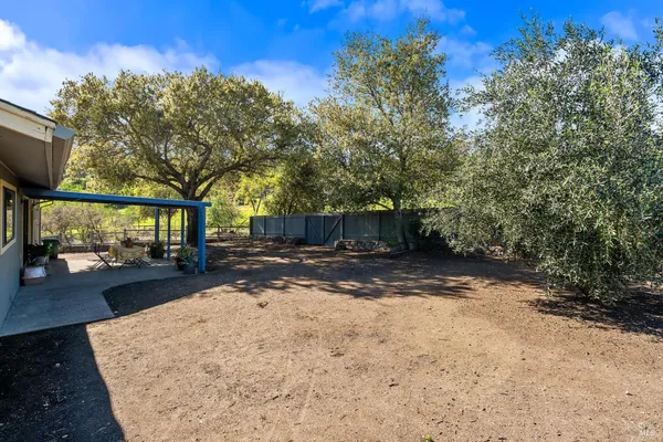 a view of a yard with a tree