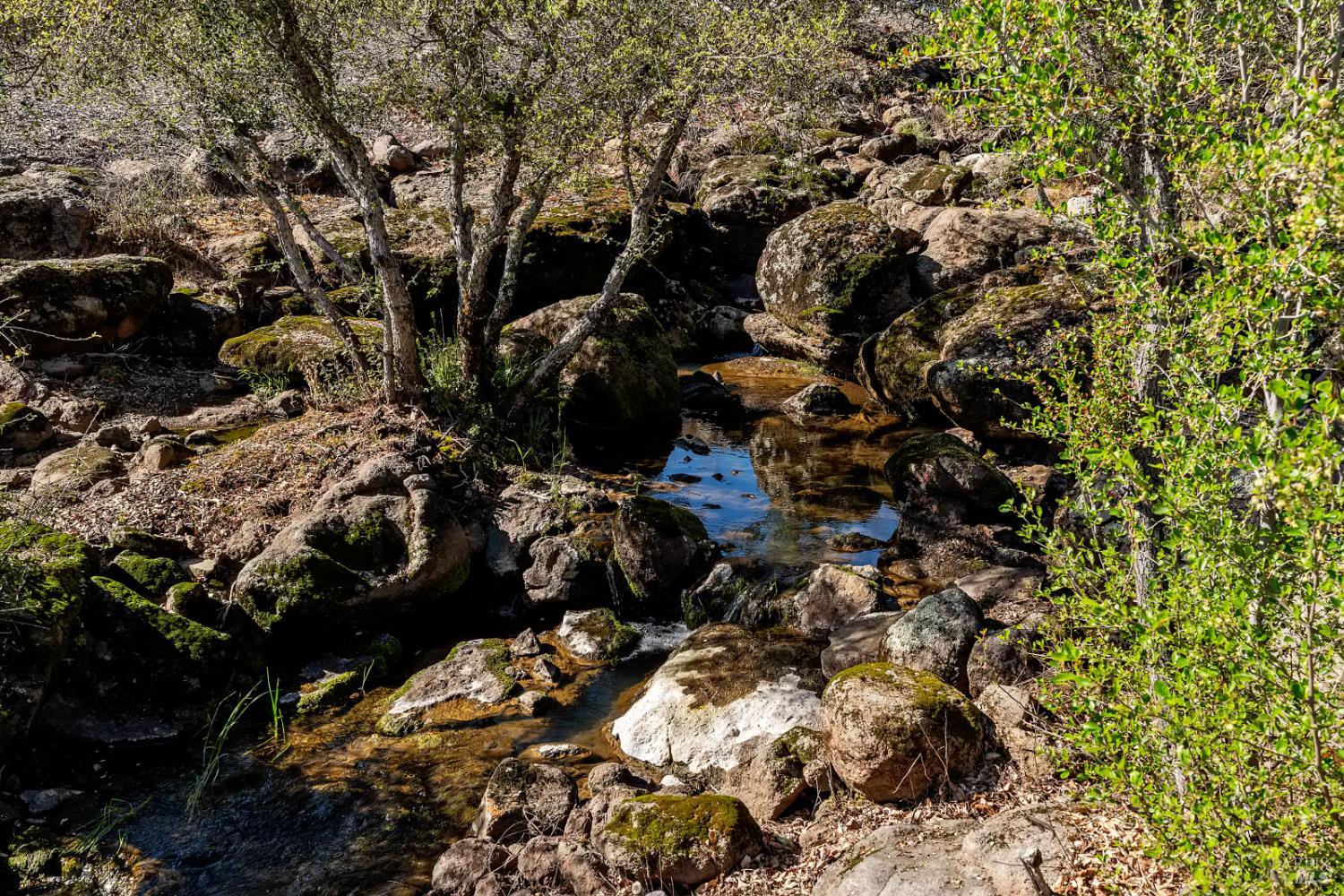 807 Deer Park Road St. Helena, CA 94574 - Photo 4 of 42