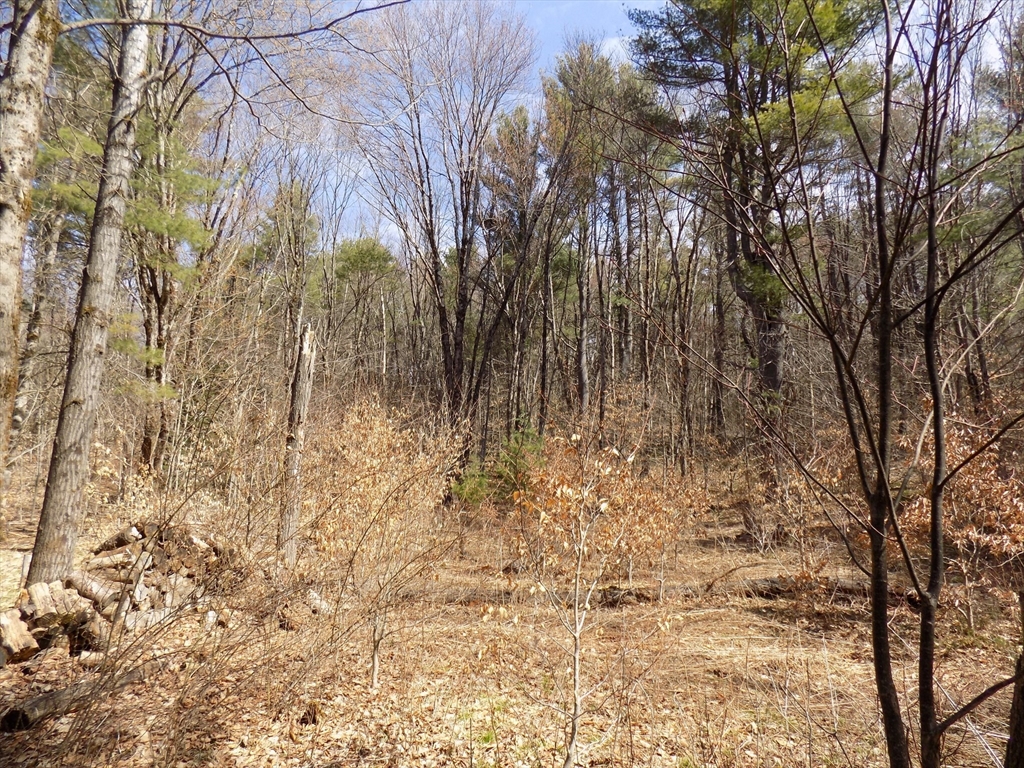 0 Summit Hill Road Becket, MA 01223 - Photo 11 of 15