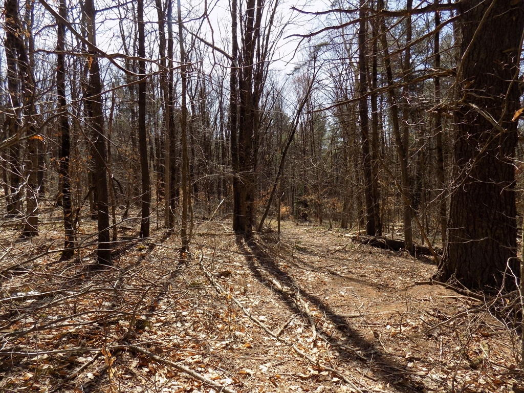 0 Summit Hill Road Becket, MA 01223 - Photo 13 of 15