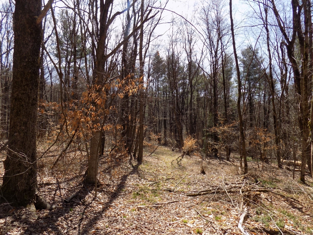 0 Summit Hill Road Becket, MA 01223 - Photo 14 of 15