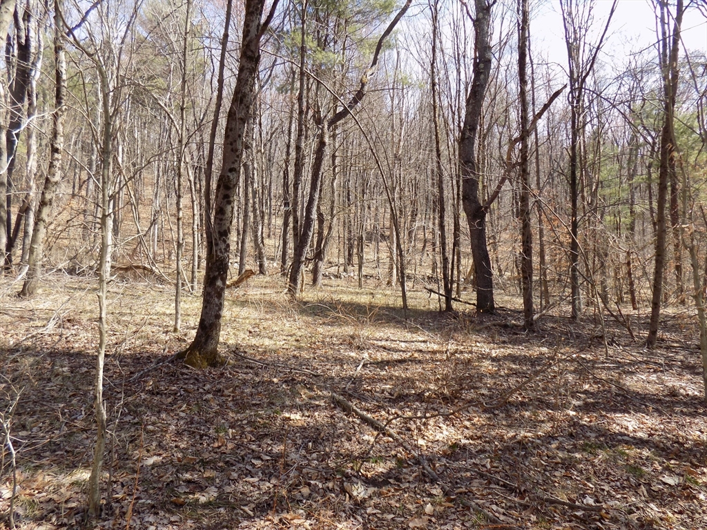 0 Summit Hill Road Becket, MA 01223 - Photo 15 of 15