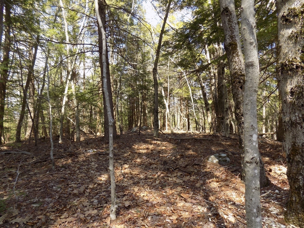 0 Summit Hill Road Becket, MA 01223 - Photo 4 of 15