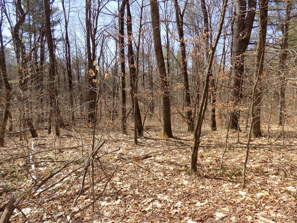 0 Summit Hill Road Becket, MA 01223 - Photo 6 of 15