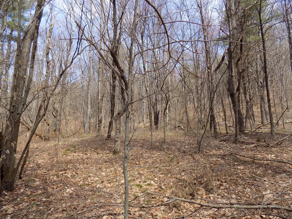 0 Summit Hill Road Becket, MA 01223 - Photo 7 of 15